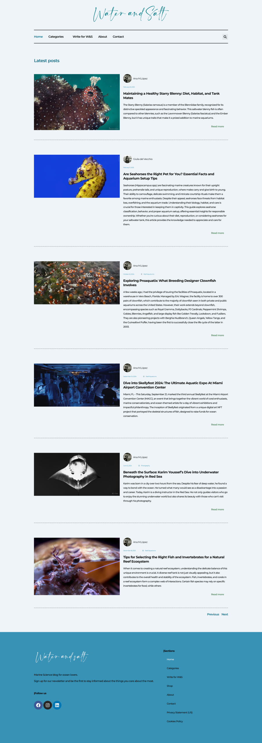 web design Miami Avanta Design Lab